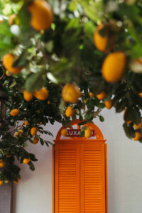 Lauko terasa Paupyje