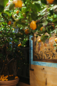 Lauko terasa Paupyje