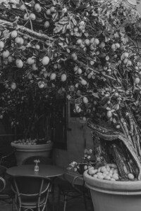 Mantas Petruškevičius dekoras