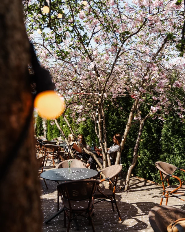 Pirmieji pavasario saulės spinduliai, žydinčios 🌸 ir taurė vyno – skamba kaip planas, ar ne? Laukiame jūsų terasoje, kur Italijos skoniai dera su Vilniaus pavasariu.

🍋 FIRENZE 🍋

#restoranas #bisteccheria #winebar #firenzevilnius #itališkasrestoranasvilnius #vilniusrestaurants