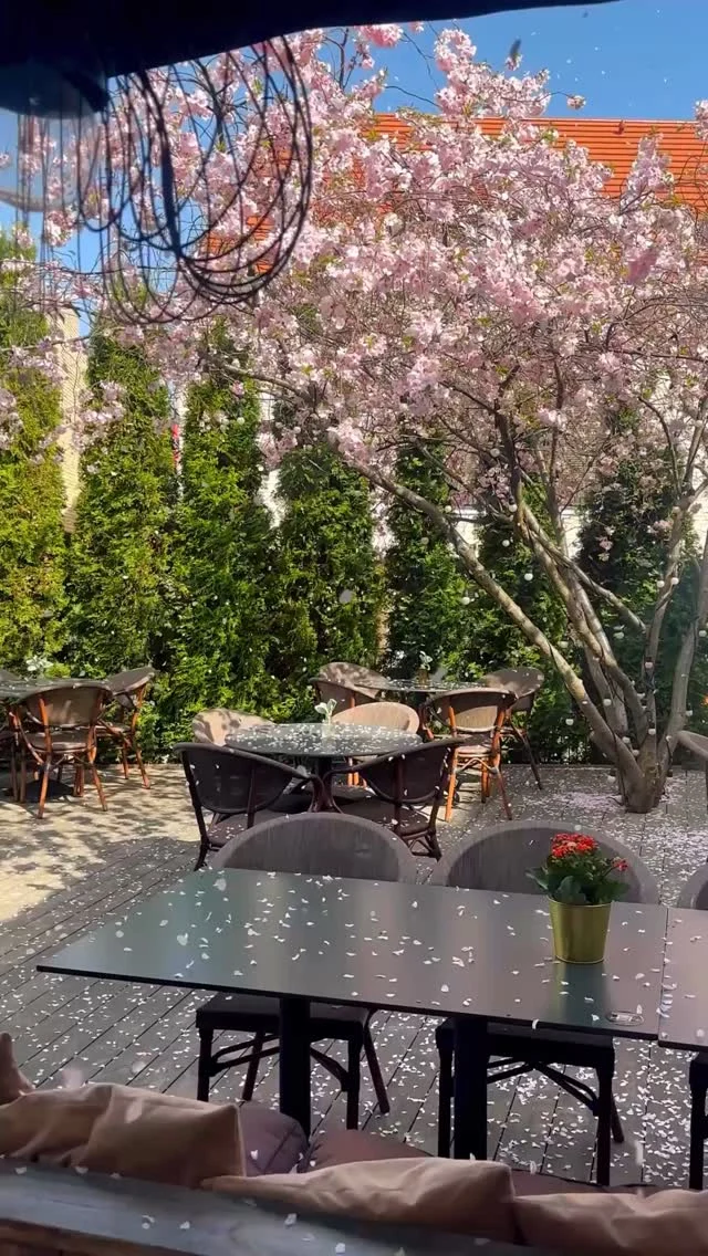 La Dolce Vita vasaros terasoje pagal Firenze scenarijų.

🌸 FIRENZE 🌸

#restoranas #bisteccheria #winebar #firenzevilnius #itališkasrestoranasvilnius #vilniusrestaurants